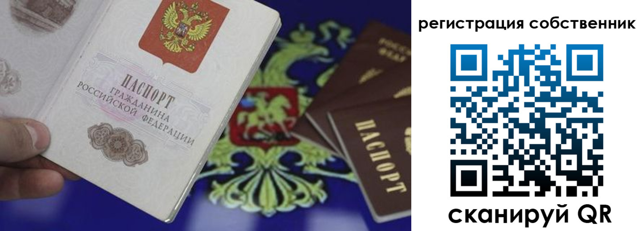 временная регистрация надежно в Звенигово